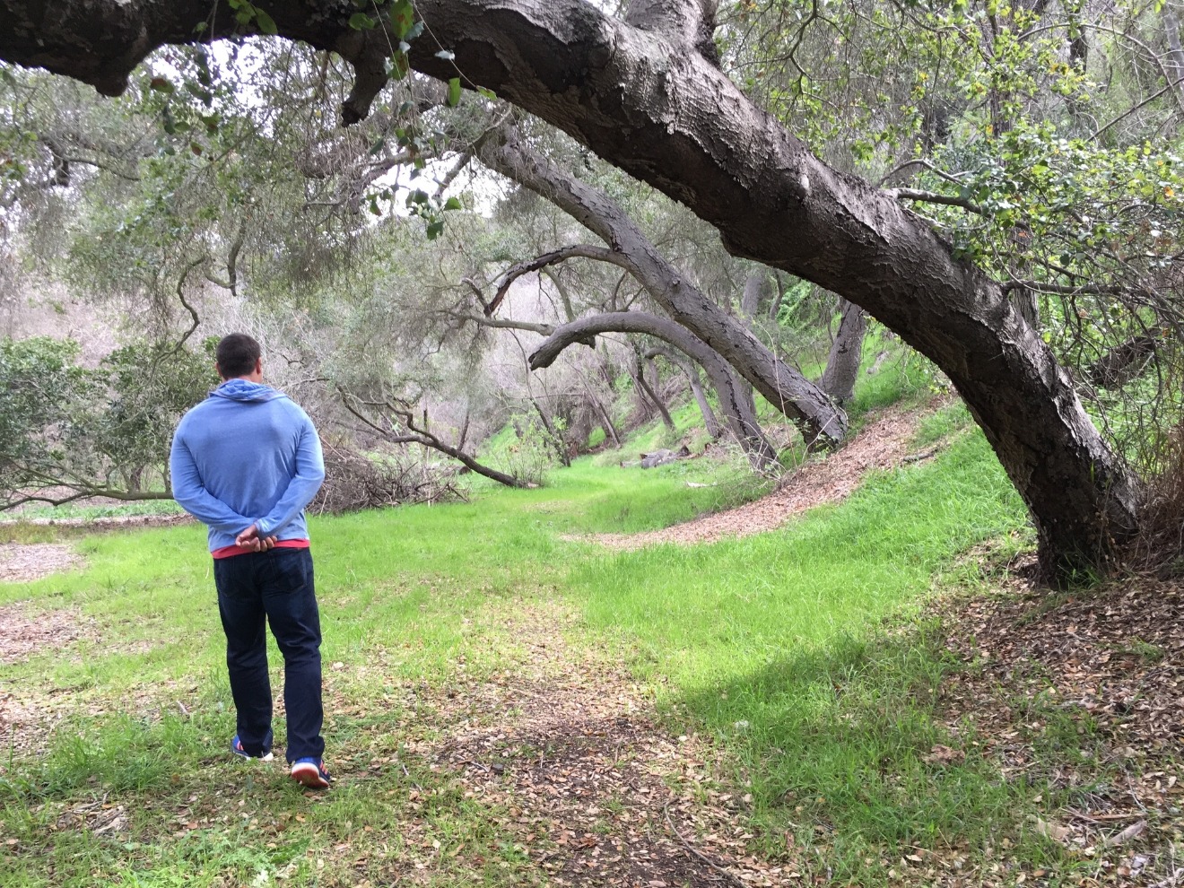 Person practicing walking meditation on a path in Los Angeles.